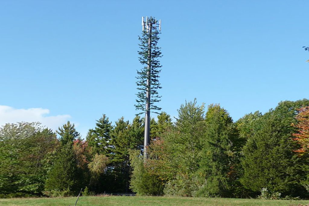 Cell phone tower that looks like a tree