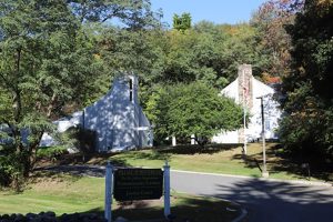 Cell tower that appears like a pine tree